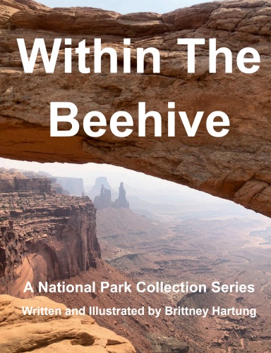 Within The Beehive
