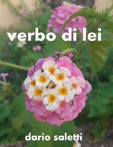 verbo di lei