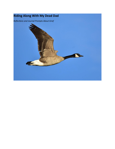 Riding Around With My Dead Dad Reflections and Journal Prompts About Grief