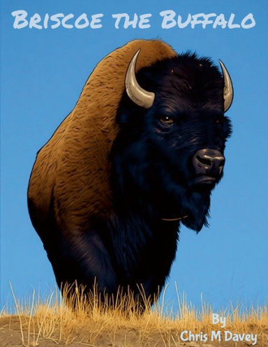 Briscoe the Buffalo