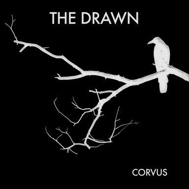 The Drawn
