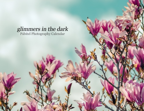 glimmers in the dark 2026