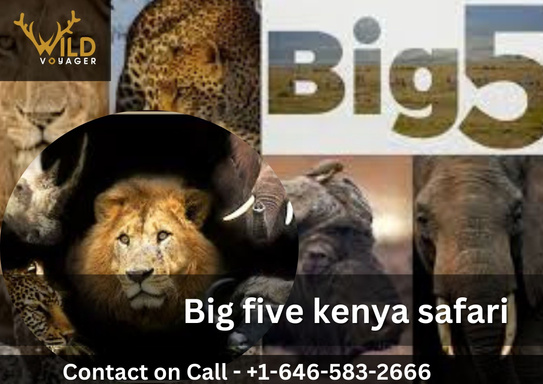 Experience the Big Five Kenya Safari with WildVoyager Pvt Ltd