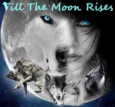 Till The Moon Rises