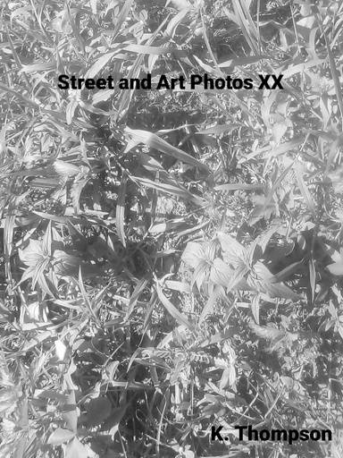 Street and Art Photos XX