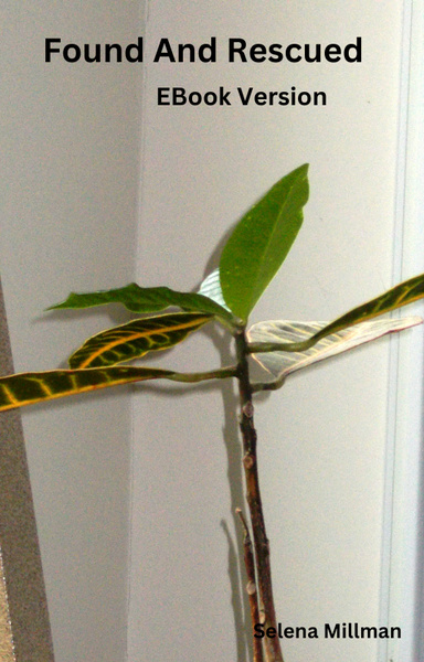 Found And Rescued Ebook Version