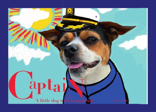 Captain