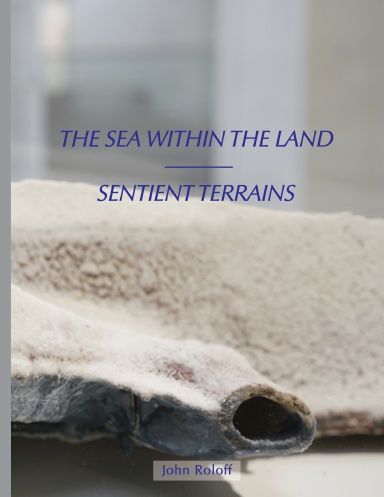 The Sea Within the Land / Sentient Terrains