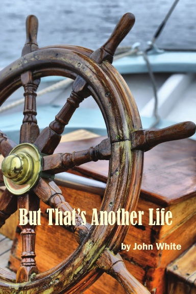 Another Life