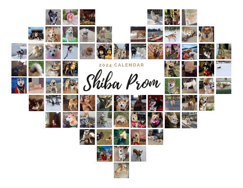 Shiba Prom Calendar 2024