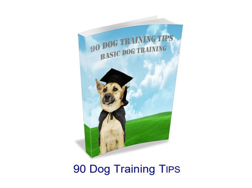 90 Dog Training Tips
