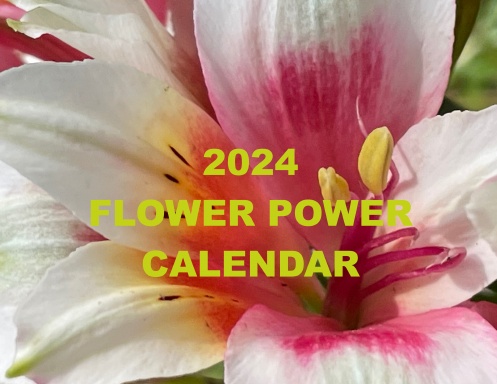 2024 FLOWER POWER Calendar