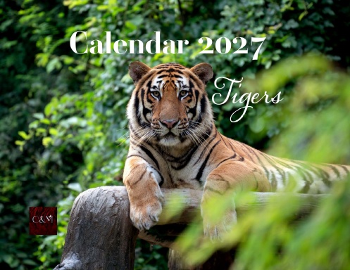 Tigers