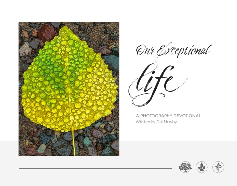 Our Exceptional Life
