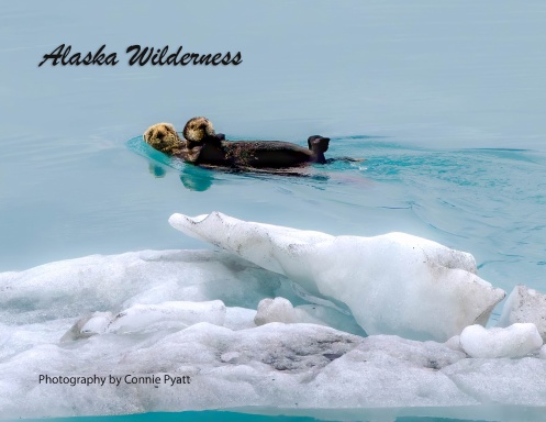 Alaska Wilderness