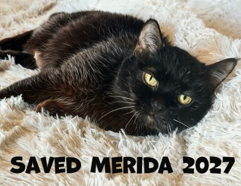 Saved Merida 2027