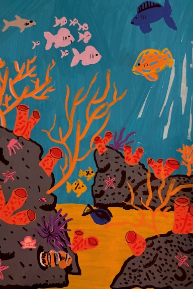 Reef Notebook