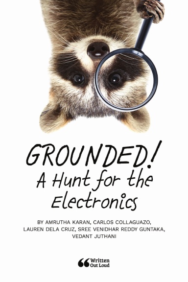 GROUNDED! A Hunt for the Electronics