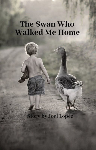 The Swan Who Walked Me Home