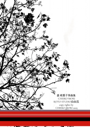 KOTO LIBRARY 10