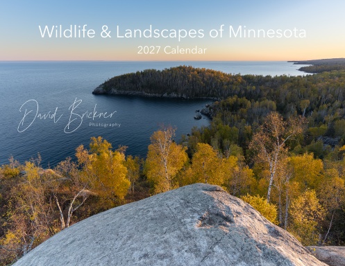 2027 Calendar: Wildlife and Landscapes of Minnesota