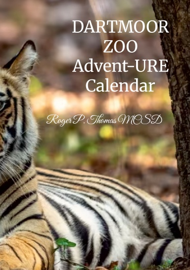 Dartmoor ZOO 2026 Advent Calendar