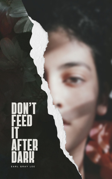 Don't Feed It After Dark