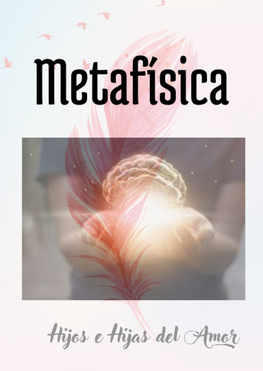 Metafísica Principios