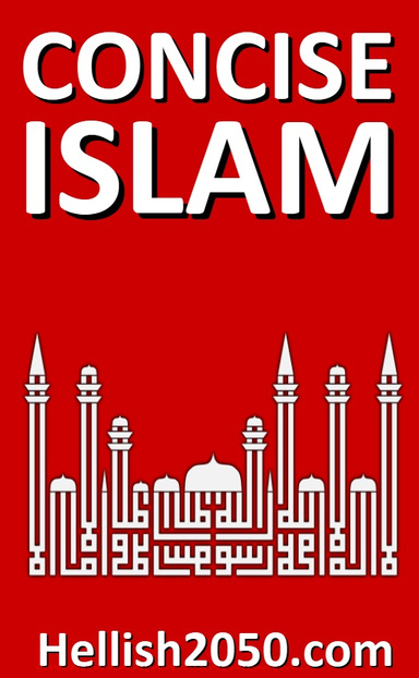 Concise Islam