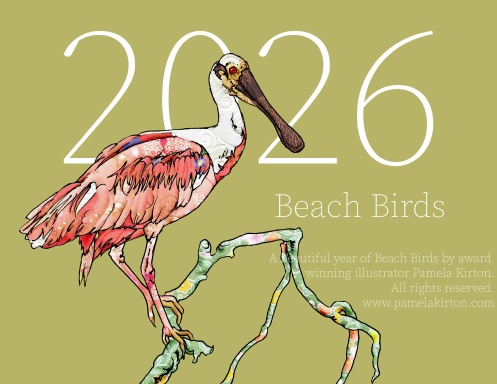 2026 Beach Birds