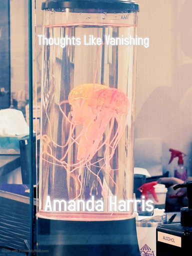 Thoughts Like Vanishing