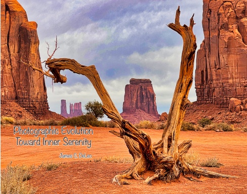 Evolution Toward Inner Serenity