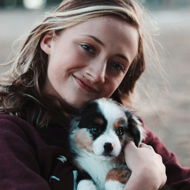 Caring For Your Dog