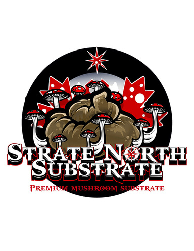 Strate North Substrate