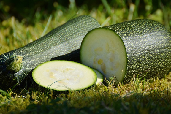 Zucchini-Cheese Appetizer Squares