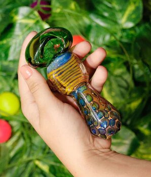 Best Online Smoke Shop in India | Happy Trail