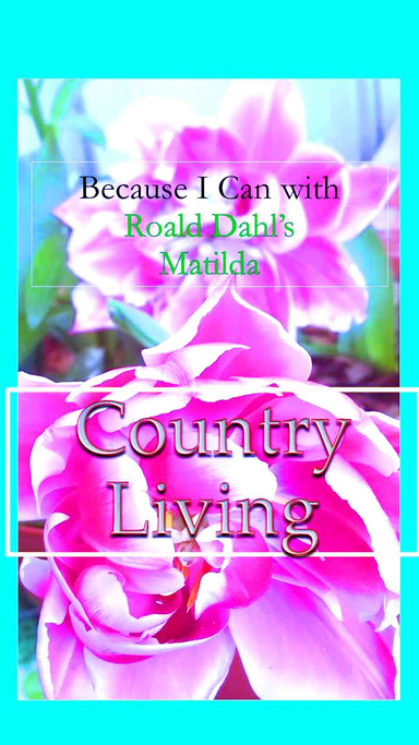 Because I Can with Roald Dahl's Matilda : Country Living