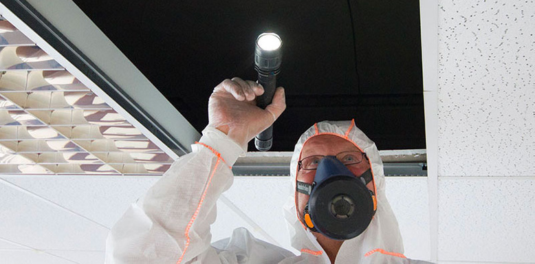 Asbestos removal Company