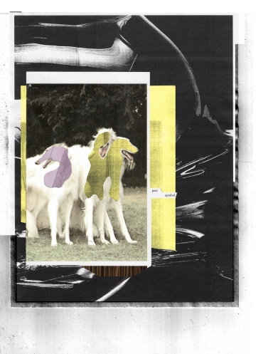 Excursion Record SERIES 20xxi.8.27.M (LTR PB)