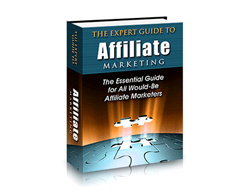 The Expert Guide To Affiliate Marketing