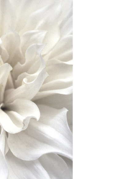 2022 White Flower Planner