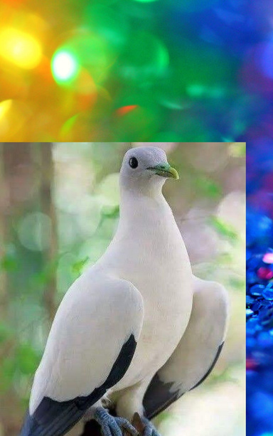 UNA PERSONA MARAVILLOSA