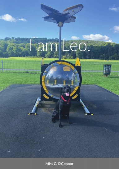 I am Leo.