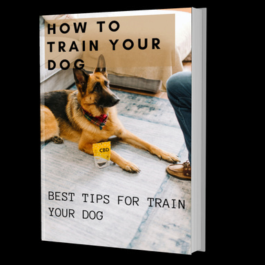 How to train Your Dog